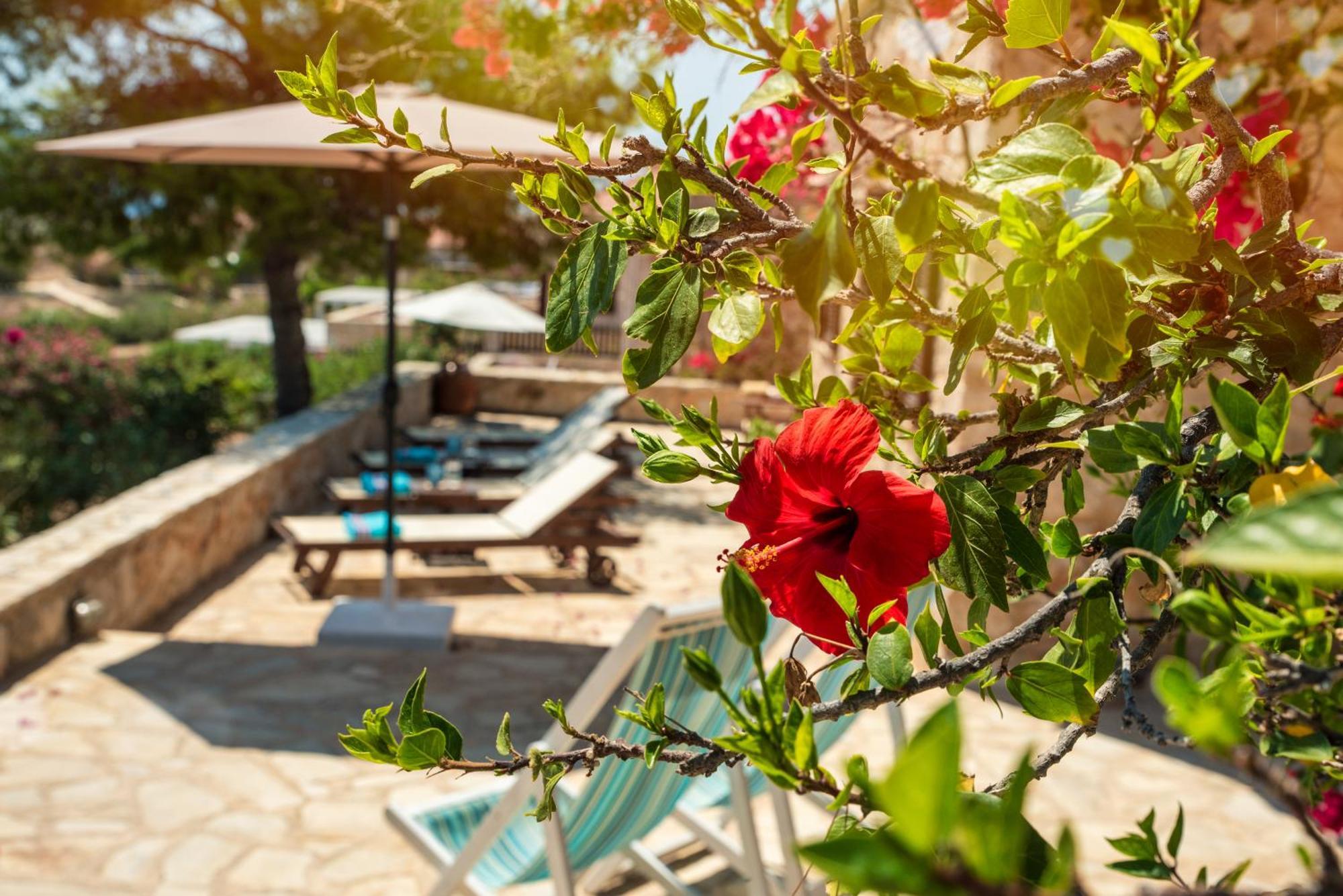 Villa Ftenagia Chalki Town Zewnętrze zdjęcie